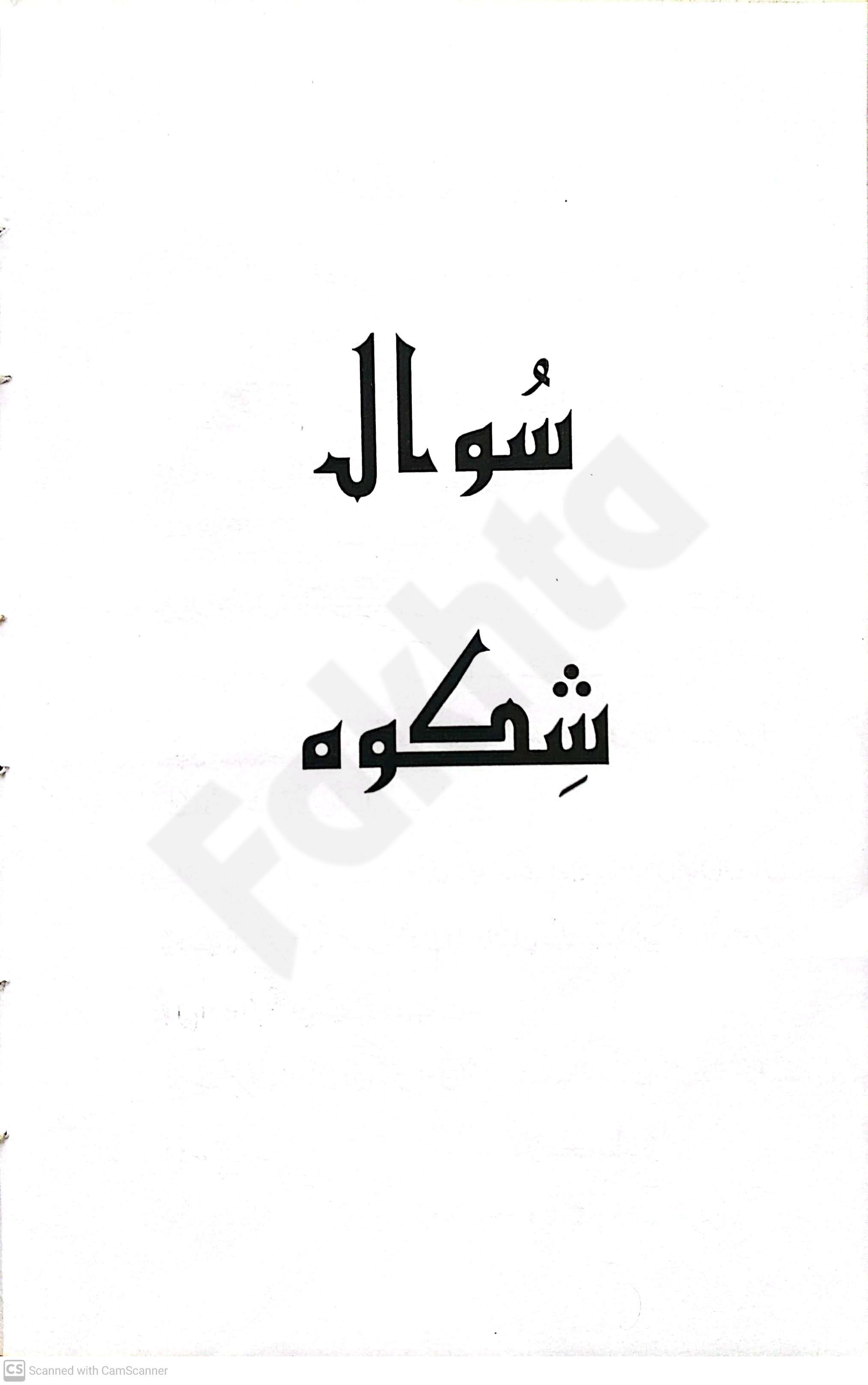 صفحہ